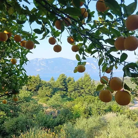 Lichada View Likhas